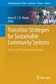 Transition Strategies for Sustainable Community Systems: Design and Systems Perspectives