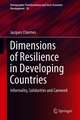 Dimensions of Resilience in Developing Countries: Informality, Solidarities and Carework