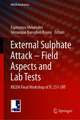 External Sulphate Attack – Field Aspects and Lab Tests: RILEM Final Workshop of TC 251-SRT (Madrid - SPAIN, 2018)