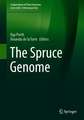 The Spruce Genome