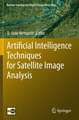 Artificial Intelligence Techniques for Satellite Image Analysis