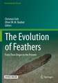 The Evolution of Feathers: From Their Origin to the Present