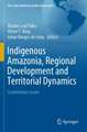 Indigenous Amazonia, Regional Development and Territorial Dynamics: Contentious Issues