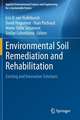 Environmental Soil Remediation and Rehabilitation: Existing and Innovative Solutions