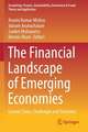 The Financial Landscape of Emerging Economies: Current State, Challenges and Solutions