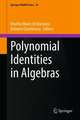 Polynomial Identities in Algebras