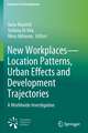 New Workplaces—Location Patterns, Urban Effects and Development Trajectories: A Worldwide Investigation