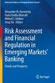 Risk Assessment and Financial Regulation in Emerging Markets' Banking: Trends and Prospects