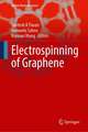 Electrospinning of Graphene