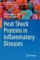 Heat Shock Proteins in Inflammatory Diseases