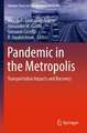 Pandemic in the Metropolis: Transportation Impacts and Recovery