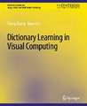 Dictionary Learning in Visual Computing