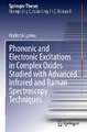 Phononic and Electronic Excitations in Complex Oxides Studied with Advanced Infrared and Raman Spectroscopy Techniques