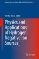 Physics and Applications of Hydrogen Negative Ion Sources