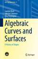 Algebraic Curves and Surfaces: A History of Shapes