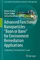 Advanced Functional Nanoparticles "Boon or Bane" for Environment Remediation Applications: Combating Environmental Issues