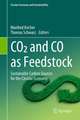 CO2 and CO as Feedstock: Sustainable Carbon Sources for the Circular Economy