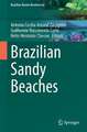 Brazilian Sandy Beaches