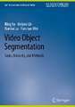 Video Object Segmentation: Tasks, Datasets, and Methods