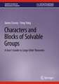 Characters and Blocks of Solvable Groups: A User’s Guide to Large Orbit Theorems