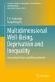 Multidimensional Well-Being, Deprivation and Inequality: Conceptual Issues and Measurement