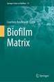 Biofilm Matrix