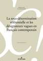 La sous-détermination référentielle et les désignateurs vagues en français contemporain