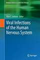 Viral Infections of the Human Nervous System