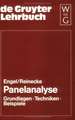 Panelanalyse: Grundlagen, Techniken, Beispiele