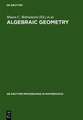 Algebraic Geometry: A Volume in Memory of Paolo Francia