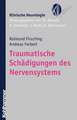 Traumatische Schadigungen Des Nervensystems: Eine Einfuhrung