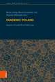 Pandemic Poland: Impacts of Covid-19 on Polish Law (Legal Area Studies)