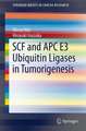 SCF and APC E3 Ubiquitin Ligases in Tumorigenesis