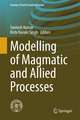 Modelling of Magmatic and Allied Processes