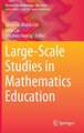 Large-Scale Studies in Mathematics Education