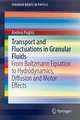 Transport and Fluctuations in Granular Fluids: From Boltzmann Equation to Hydrodynamics, Diffusion and Motor Effects