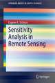 Sensitivity Analysis in Remote Sensing