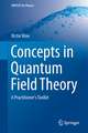 Concepts in Quantum Field Theory: A Practitioner's Toolkit