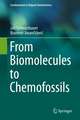 From Biomolecules to Chemofossils