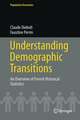 Understanding Demographic Transitions: An Overview of French Historical Statistics