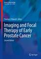 Imaging and Focal Therapy of Early Prostate Cancer