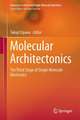 Molecular Architectonics: The Third Stage of Single Molecule Electronics