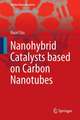 Nanohybrid Catalyst based on Carbon Nanotube: A Step-By-Step Guideline from Preparation to Demonstration