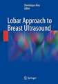 Lobar Approach to Breast Ultrasound