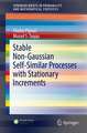 Stable Non-Gaussian Self-Similar Processes with Stationary Increments