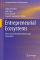 Entrepreneurial Ecosystems: Place-Based Transformations and Transitions