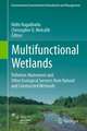 Multifunctional Wetlands: Pollution Abatement and Other Ecological Services from Natural and Constructed Wetlands