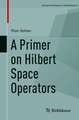 A Primer on Hilbert Space Operators