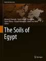 The Soils of Egypt