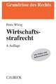 Wirtschaftsstrafrecht